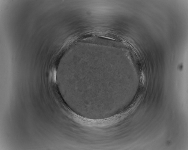 X0000097970046200804071110