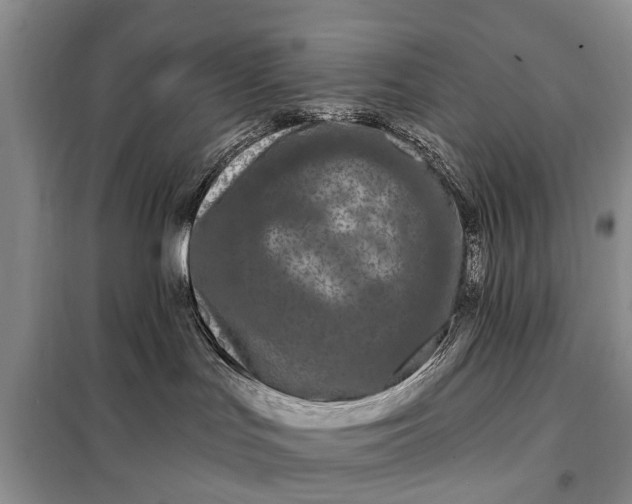 X0000097970047200804071110