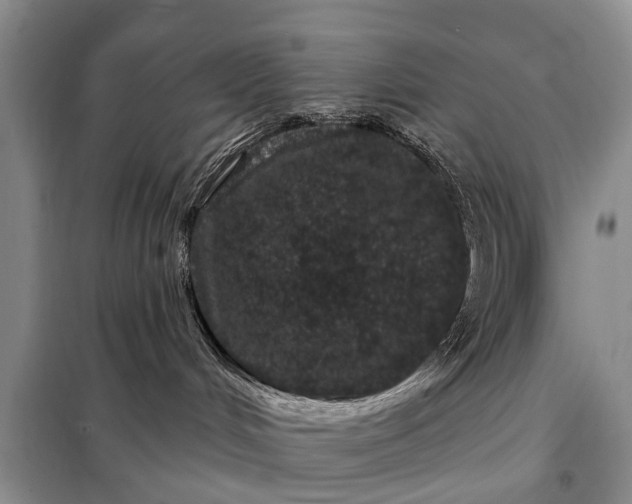 X0000097970048200804071110