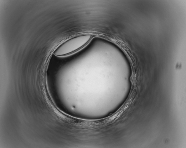 X0000097970049200804071109