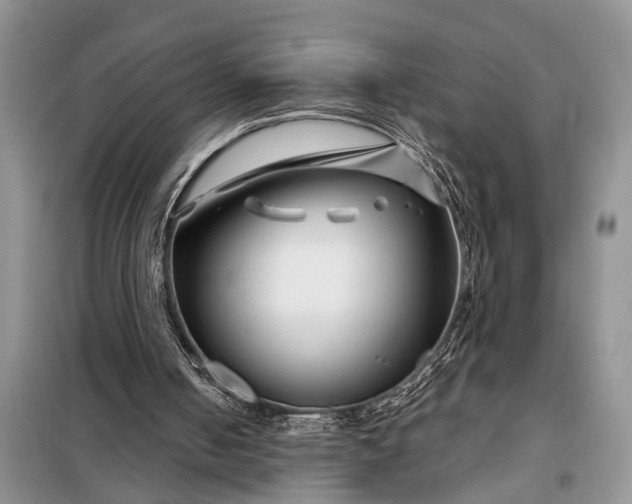 X0000097970050200804071109
