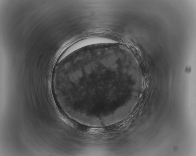 X0000097970051200804071109