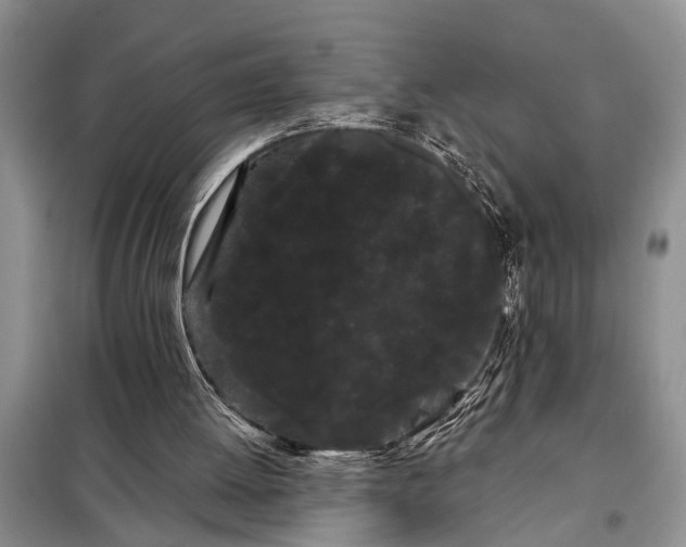 X0000097970052200804071109