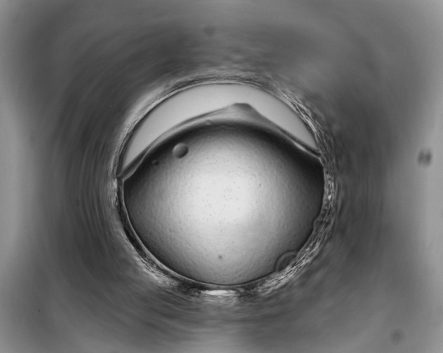 X0000097970053200804071109