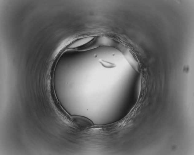 X0000097970054200804071109