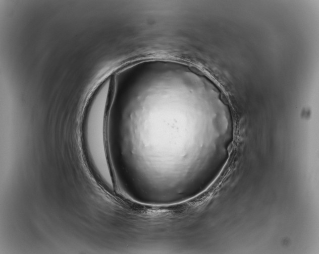 X0000097970055200804071109