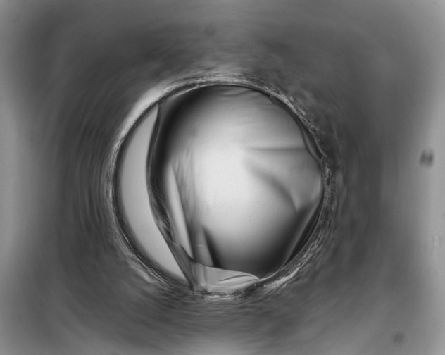 X0000097970056200804071109