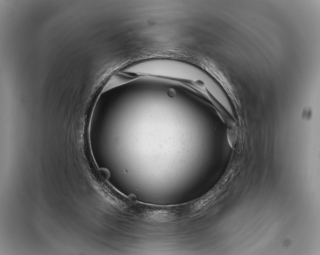 X0000097970058200804071109