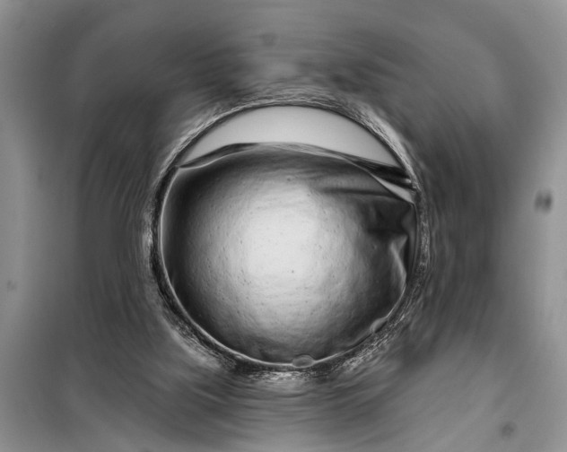 X0000097970059200804071109
