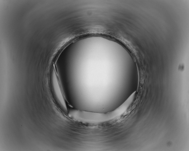 X0000097970060200804071109