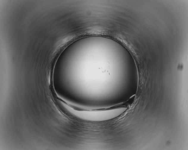 X0000097970062200804071109
