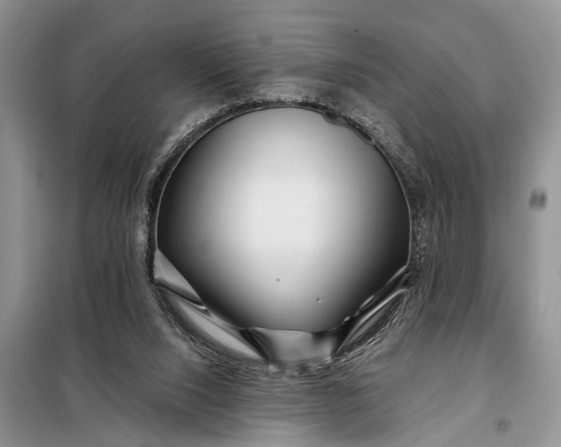 X0000097970064200804071109