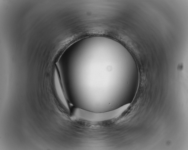 X0000097970068200804071109