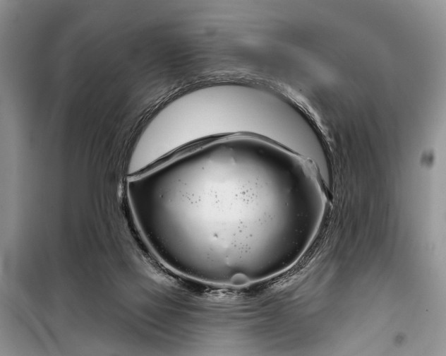 X0000097970069200804071109