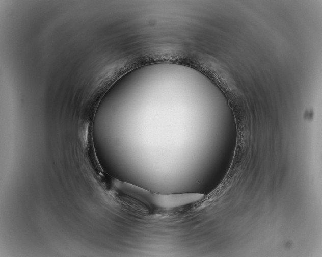 X0000097970070200804071109
