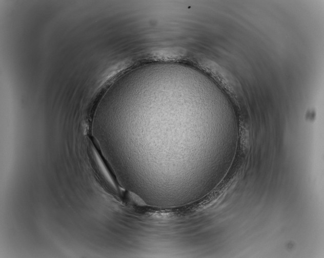 X0000097970071200804071109