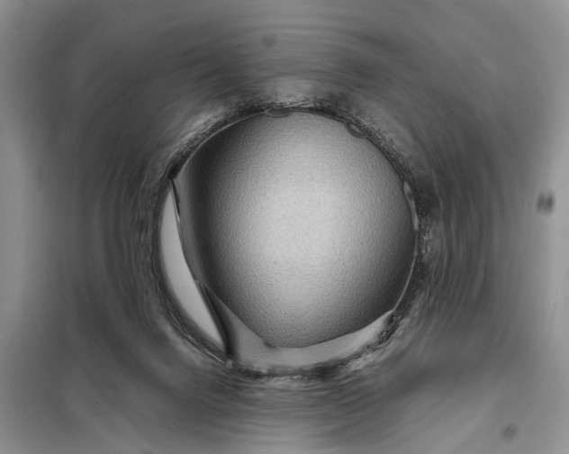 X0000097970072200804071109