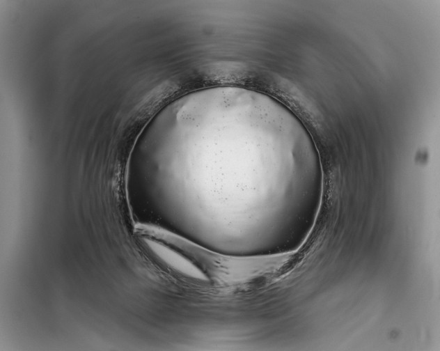 X0000097970073200804071109