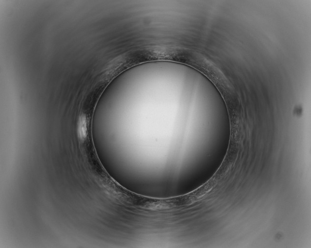 X0000097970075200804071109