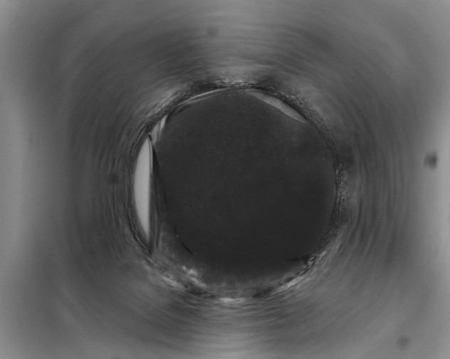 X0000097970076200804071109