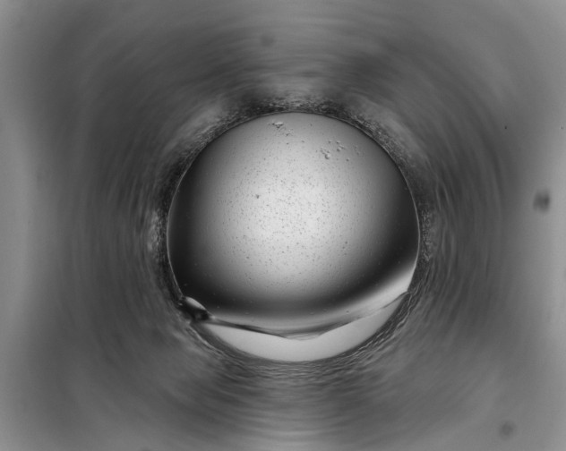X0000097970077200804071109