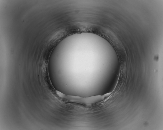 X0000097970078200804071109