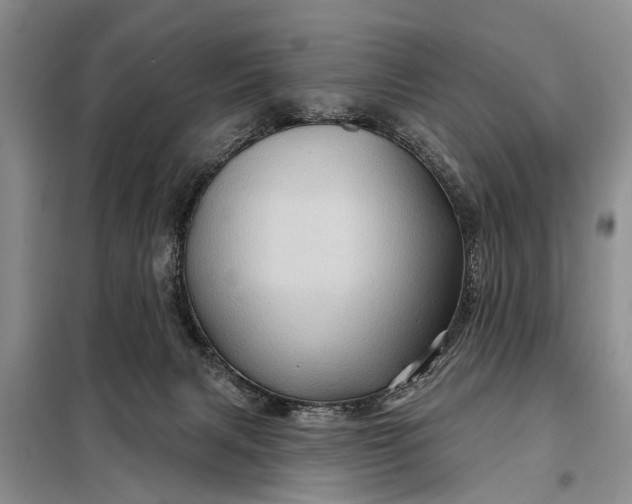 X0000097970079200804071109