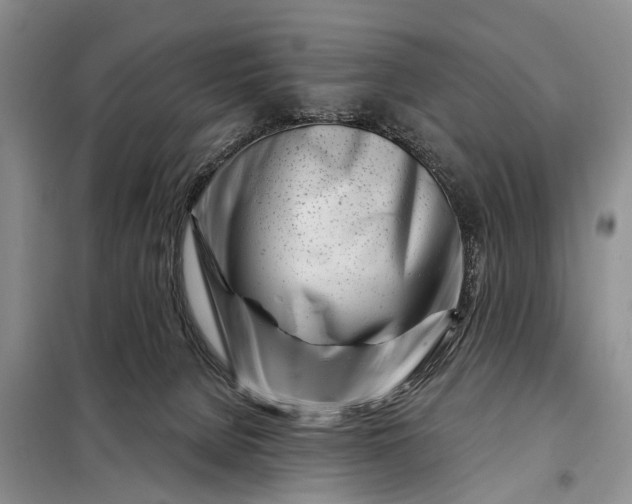 X0000097970080200804071109