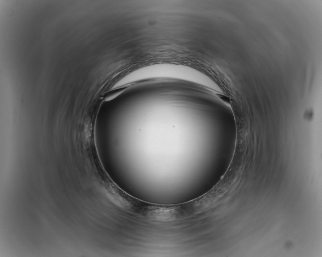 X0000097970081200804071110
