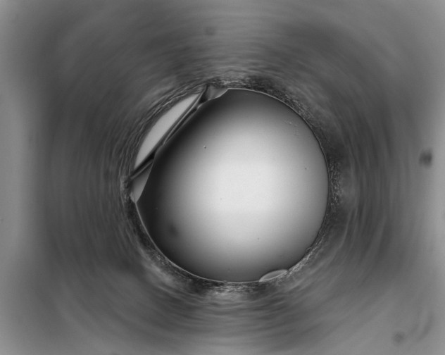 X0000097970082200804071110