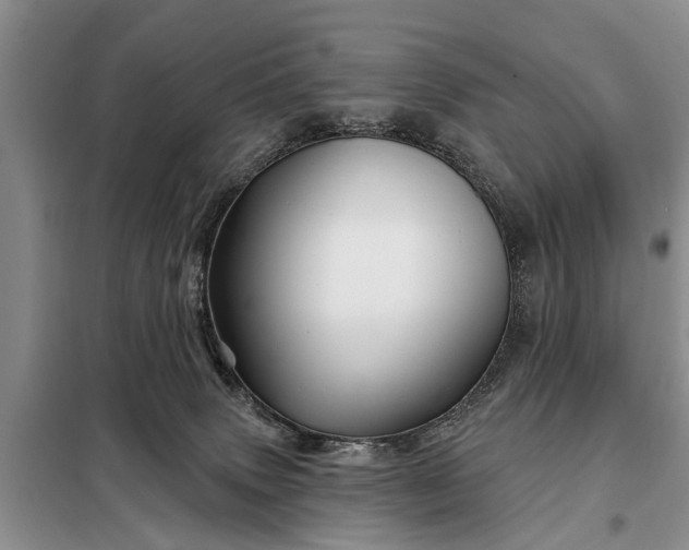 X0000097970083200804071110