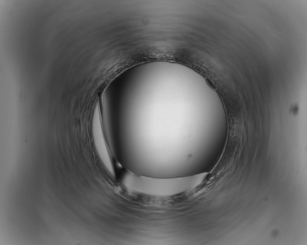X0000097970084200804071110