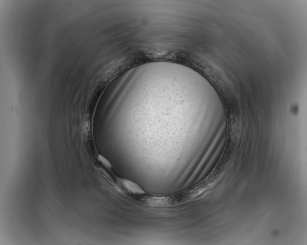 X0000097970085200804071110