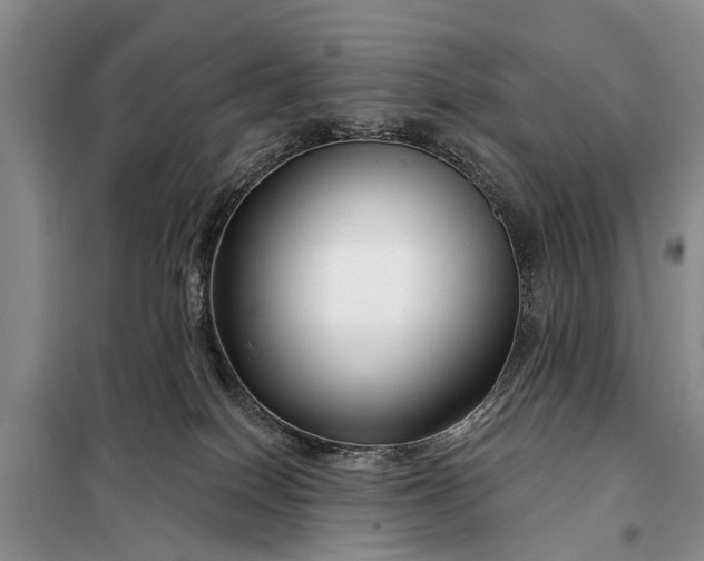 X0000097970086200804071110