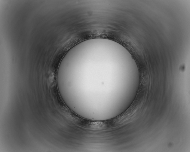 X0000097970087200804071110