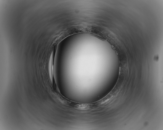 X0000097970088200804071110