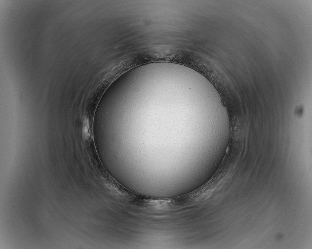 X0000097970089200804071110