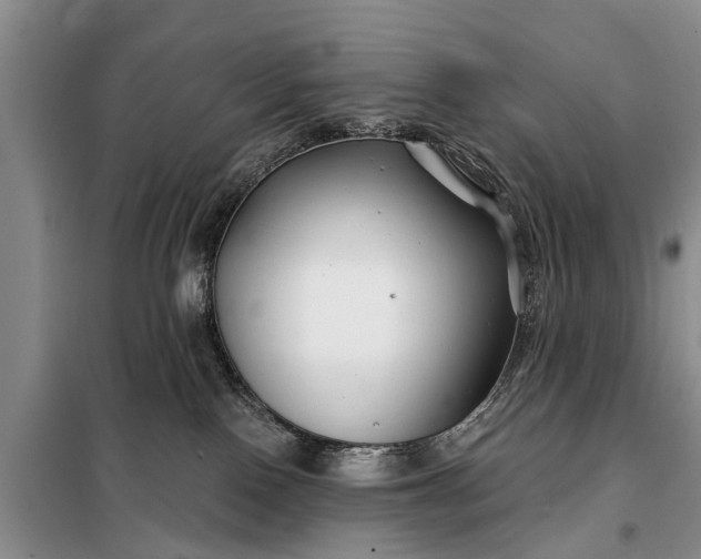 X0000097970090200804071110
