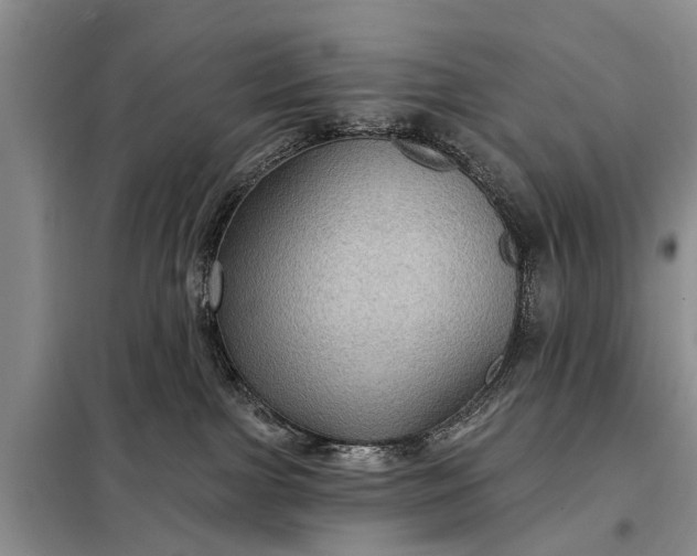 X0000097970091200804071110