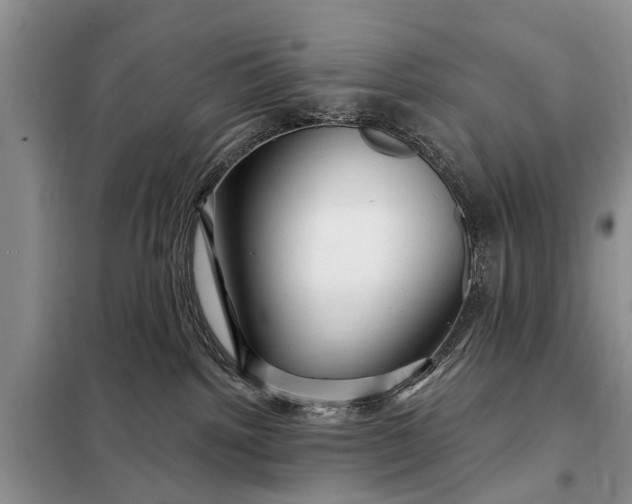 X0000097970092200804071110