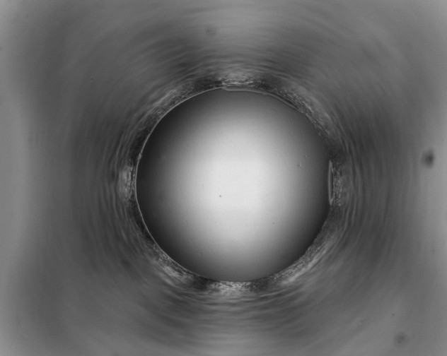 X0000097970093200804071110