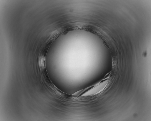 X0000097970094200804071110