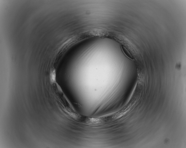 X0000097970095200804071110