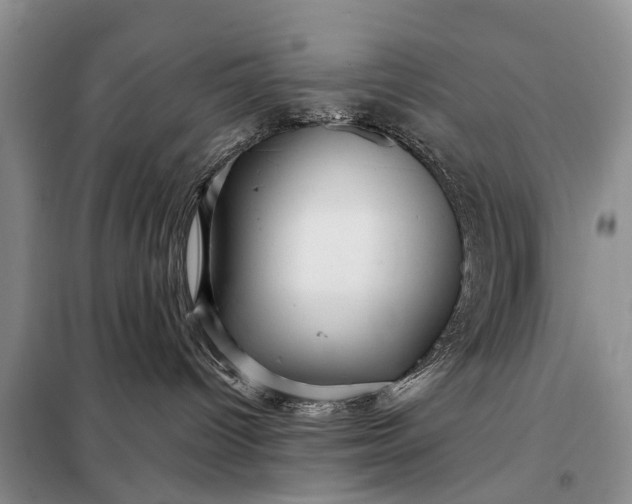 X0000097970096200804071110
