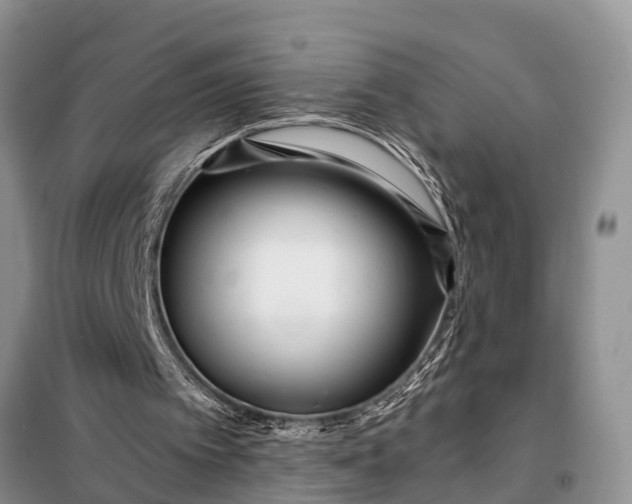 X0000097970097200804071109