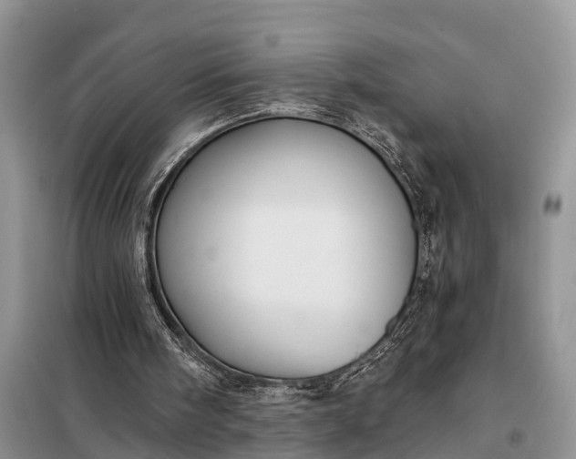 X0000097970098200804071109