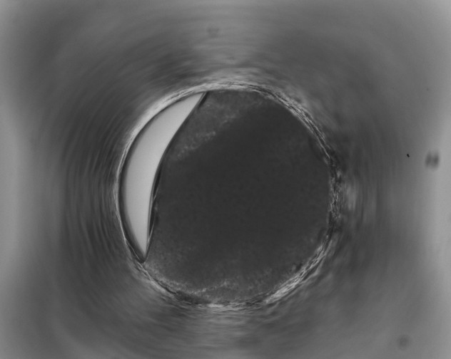 X0000097970100200804071109