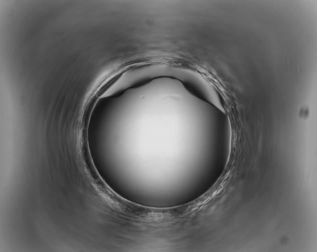 X0000097970101200804071109