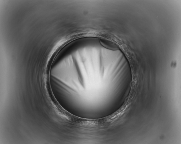 X0000097970102200804071109