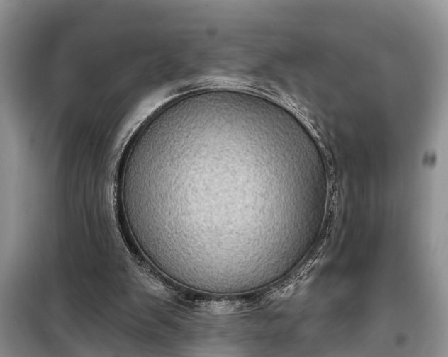 X0000097970103200804071109